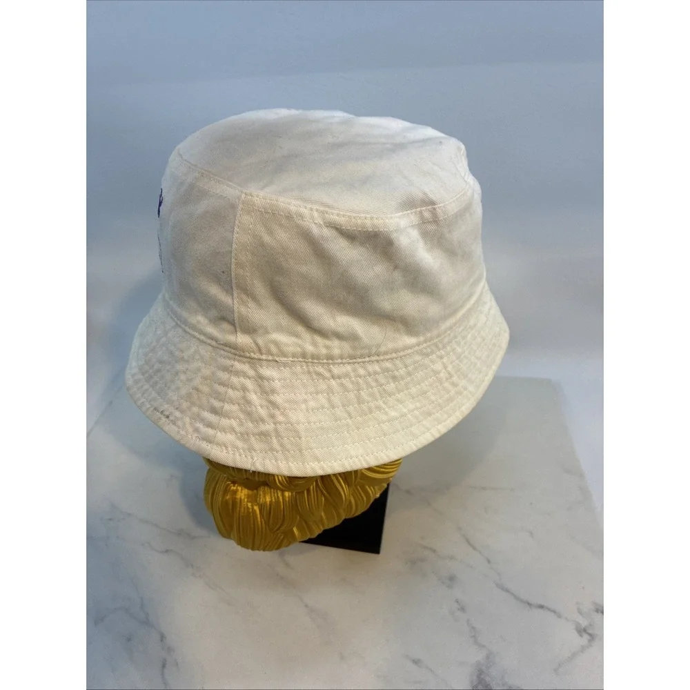 Disney parks hat